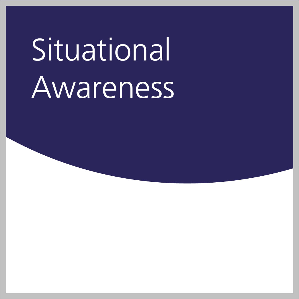 WEB-VERSION-Guidance-for-optimising-operator-plant-situational-awareness-by-rational-25.07.16.pdf